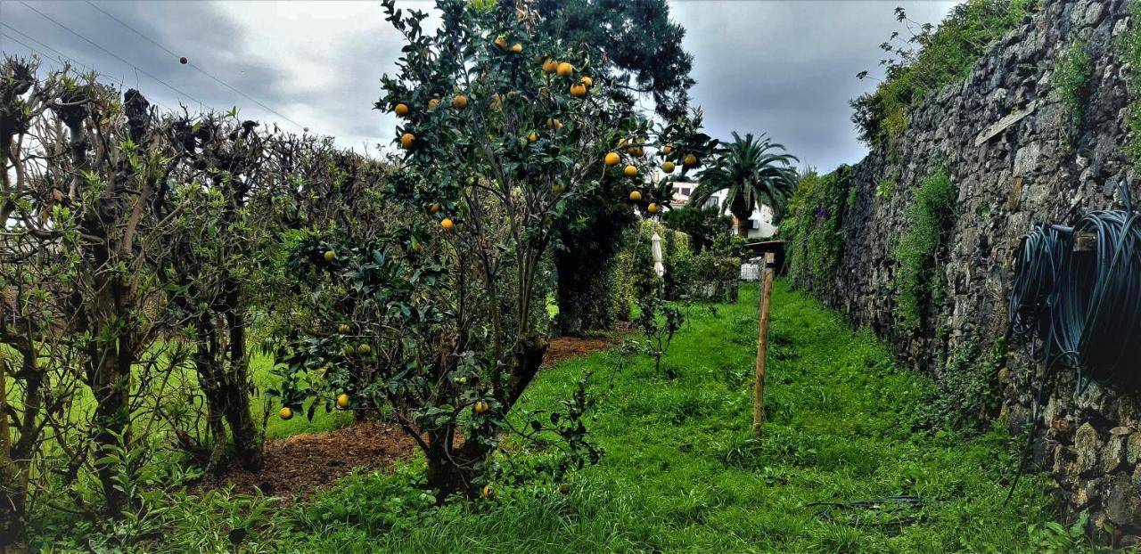 Quinta Do Bom Despacho Ponta Delgada  Exterior photo
