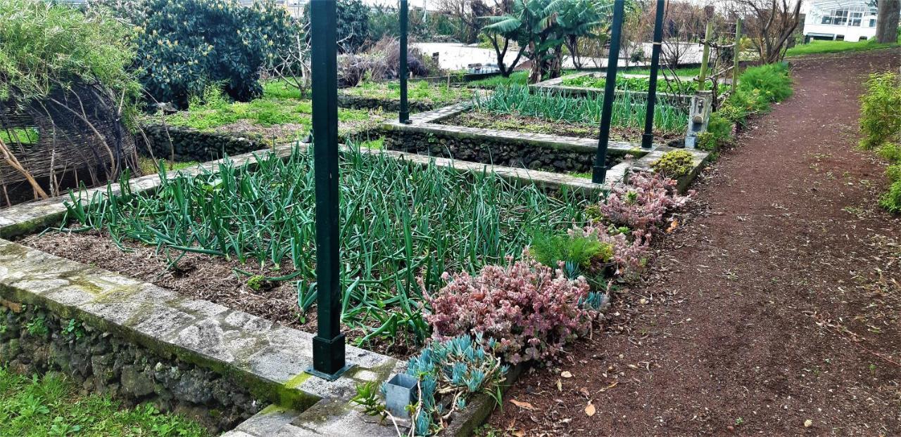 Quinta Do Bom Despacho Ponta Delgada  Exterior photo